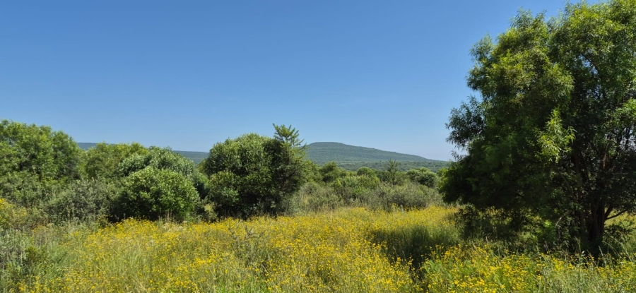 7 Bedroom Property for Sale in Groot Marico North West